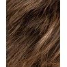 CHOCOLATE ROOTED